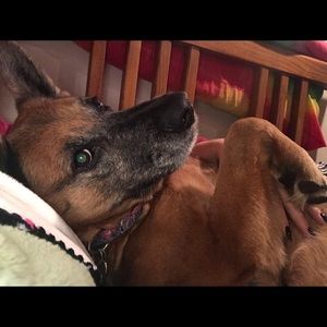 Meet your Posher, Peggy